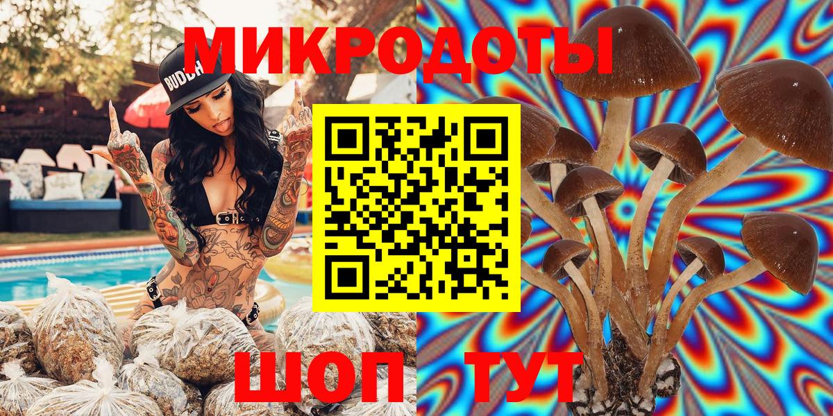 Сафоново  наркота  Вход с VPN  Галлюциногенные грибы GOLDEN TEACHER 