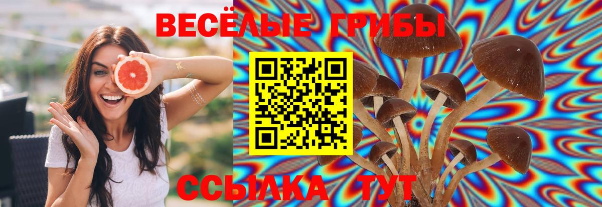 Галлюциногенные грибы ЛСД Сафоново